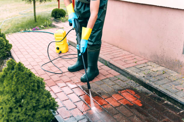 Best House Exterior Washing  in Essex, IL