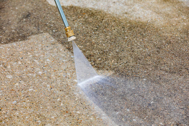 Best Sidewalk and Walkway Cleaning  in Essex, IL